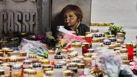 Gunman planned Austrian school shooting that killed 10, police say