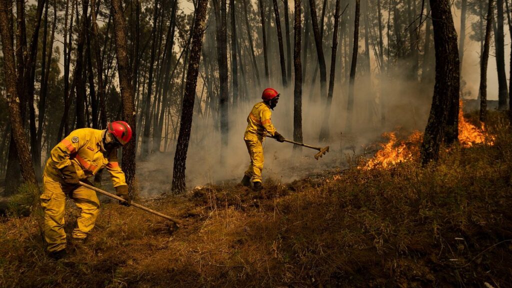 Portugese landowners face fines as wildfire inspections begin
