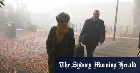 Erin Patterson faces seventh day in the witness box