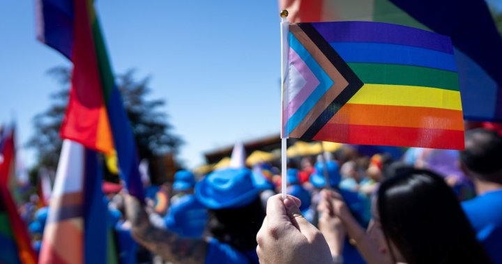 Canadians are ‘leading’ in LGBTQ2 support amid global declines: Ipsos