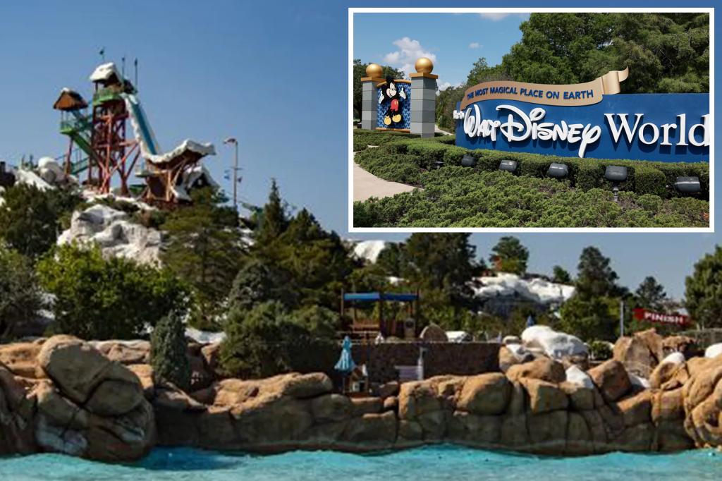 334-pound man sues Walt Disney World over injuries sustained on waterslide that allegedly didn’t support his weight