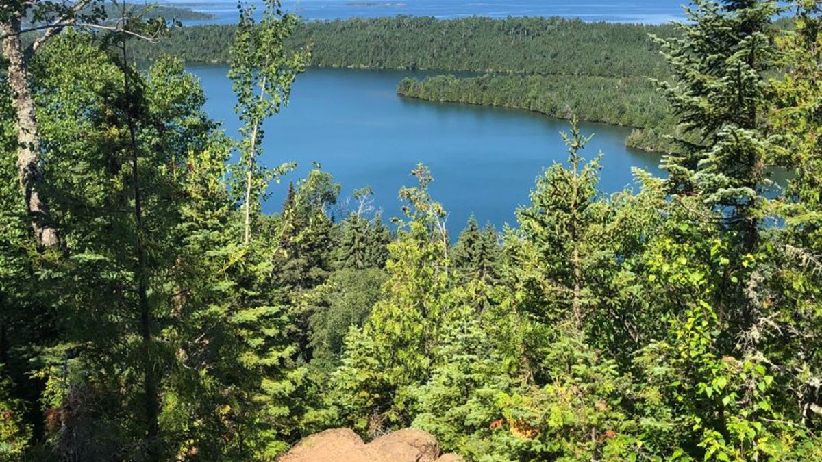 a view of trees and water from a lookout at Isle Royale National Park