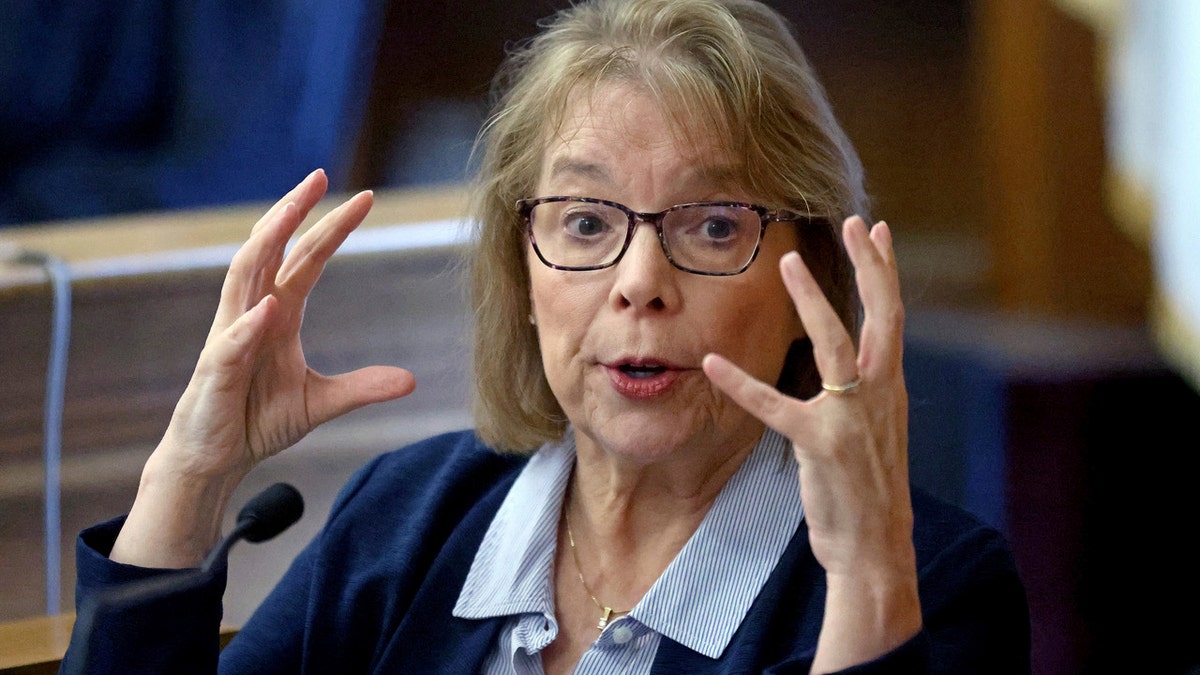 Medical witness in court during the Karen Read trial.