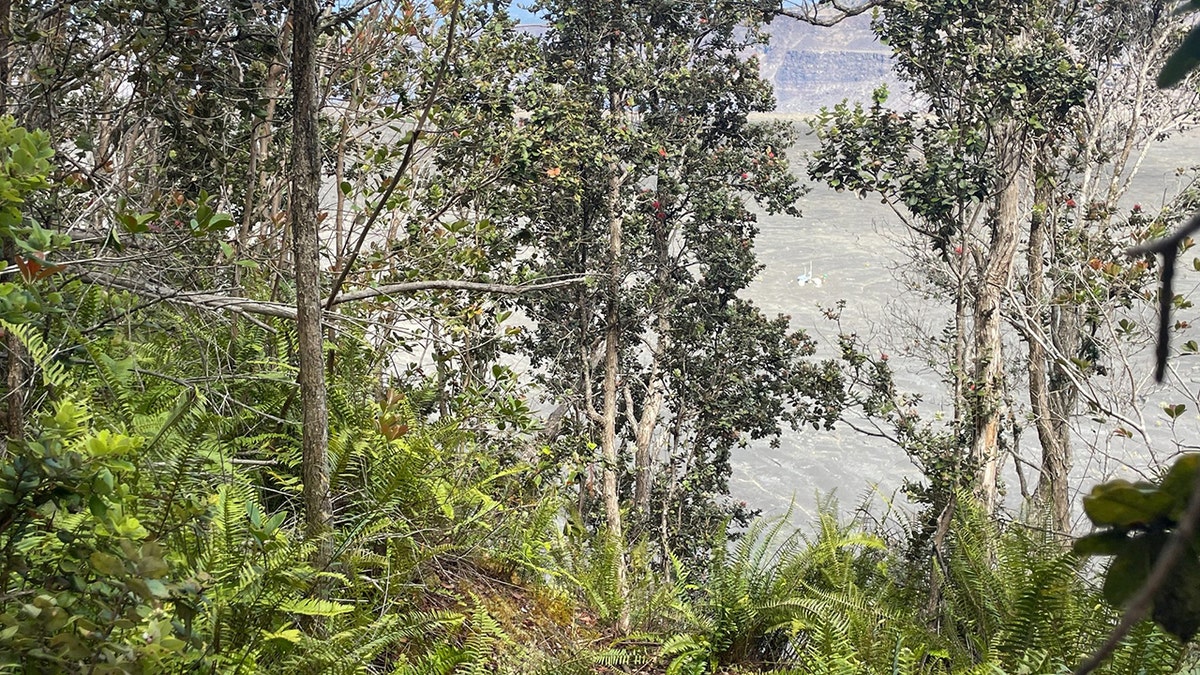 A tourist fell off a cliff near an active volcano in Hawaii