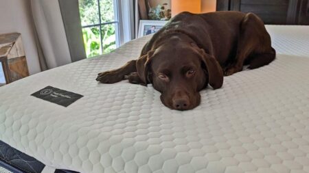 I Was Overwhelmed by Mattress Shopping. This $374 Mattress Topper Bought Me a Few More Comfortable Years