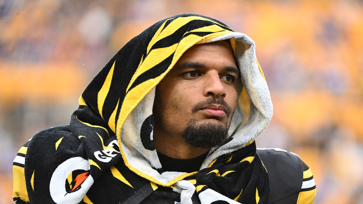 Minkah Fitzpatrick vs Bills