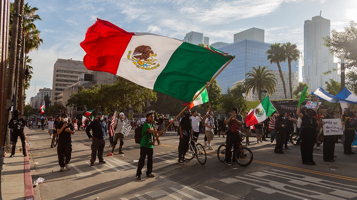 Flags waved at anti-ICE riots in Los Angeles.
