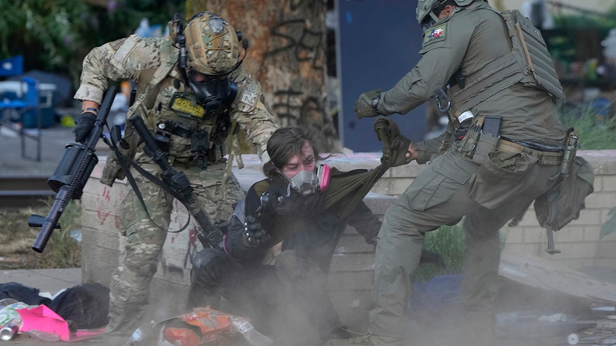 Law enforcement grabbing demonstrator