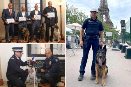 Bomb-sniffing NYPD K-9s, handlers honored at French consulate for beefing up Paris Olympics security