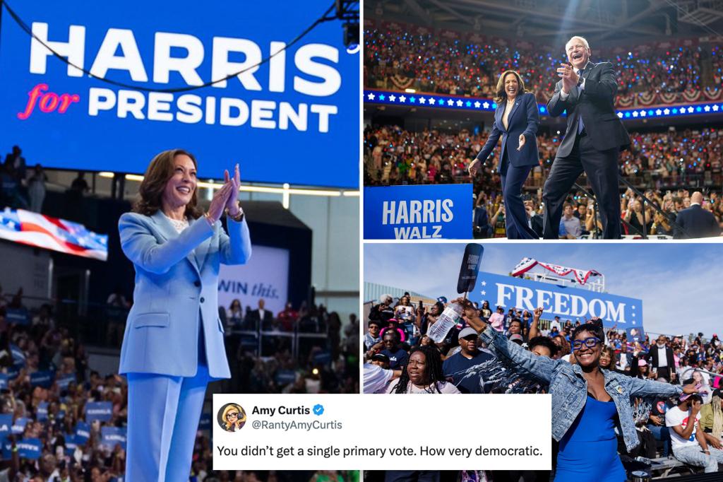 Kamala Harris mocked for post celebrating one-year anniversary of failed presidential campaign