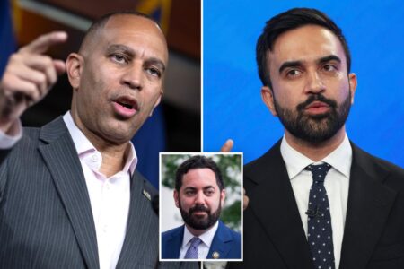 Top NY Dems ‘freaking out’ over ‘absolute insanity’ of Mamdani taking over NYC, Mike Lawler says
