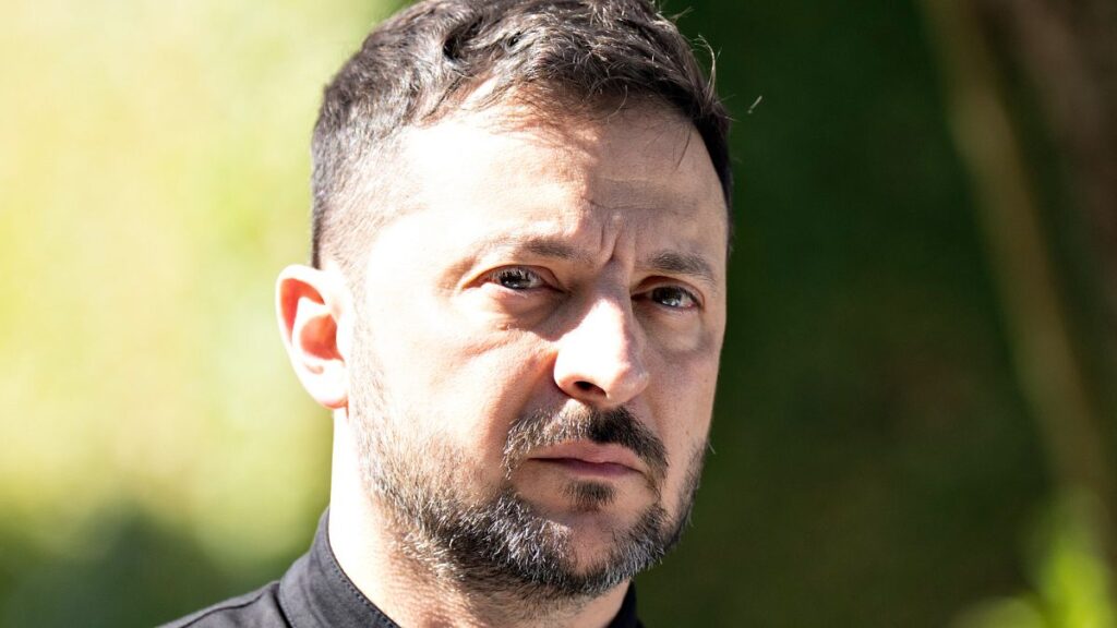 Zelenskyy and Trump agree on joint defence efforts in key phone call