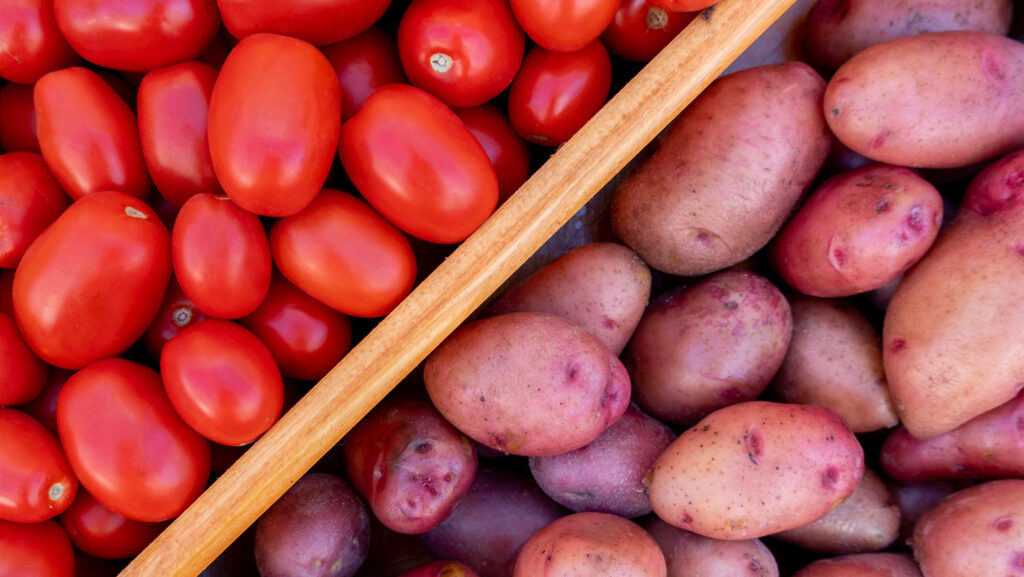 Potatoes have their roots in ancient tomatoes