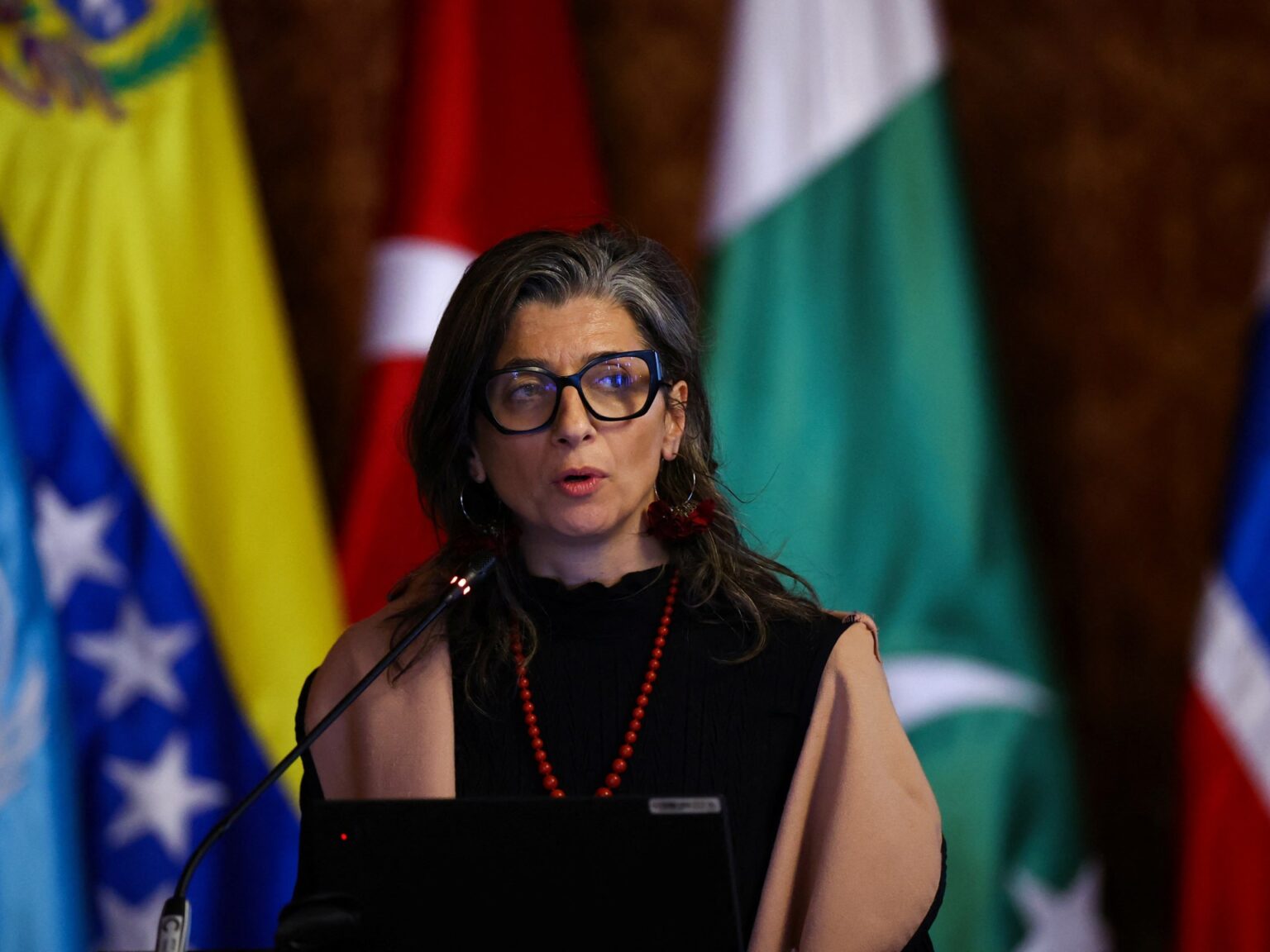 UN rapporteur demands global action to stop Israel’s ‘genocide’ in Gaza