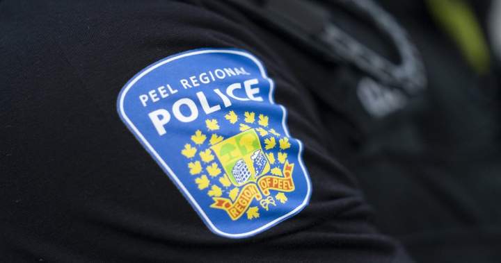 Home invasion crime ring responsible for ‘traumatic’ thefts disbanded: Peel police