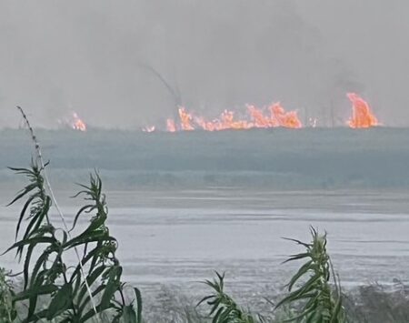Muskeg wildfire prompts state of emergency in Patuanak