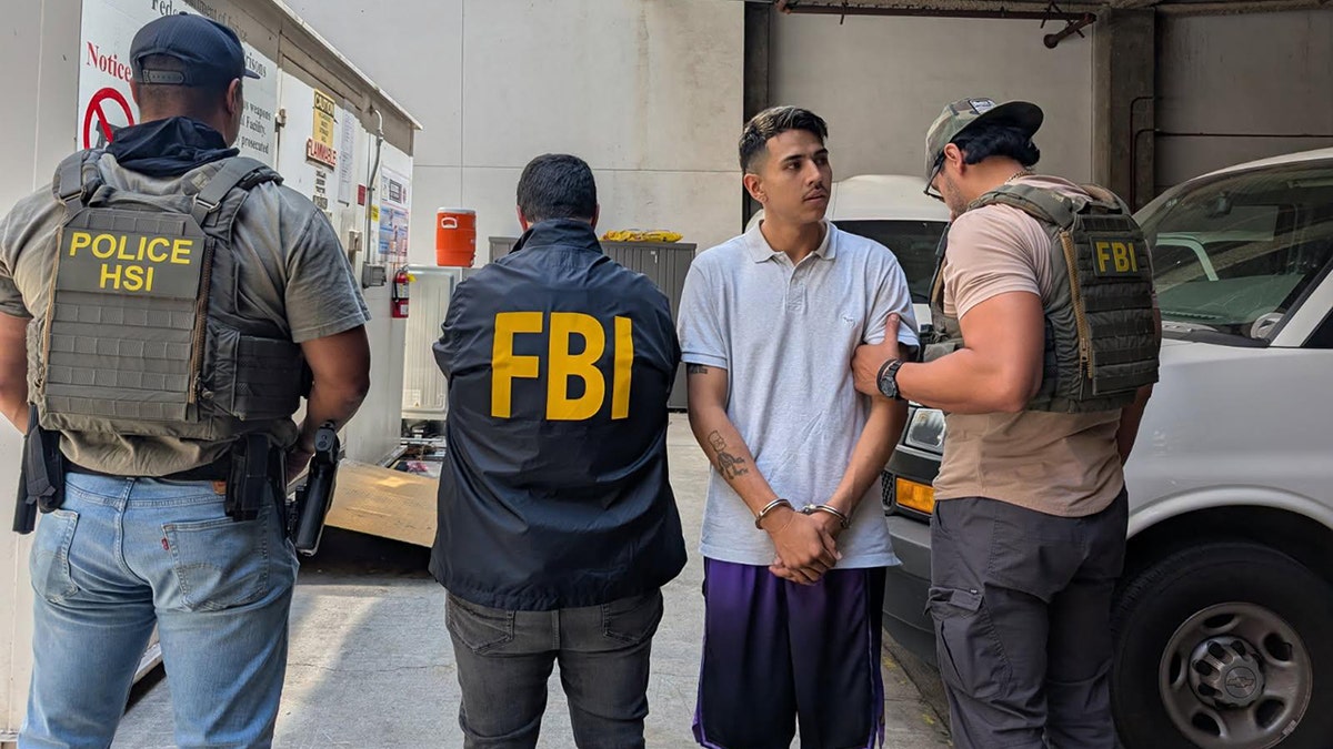 Andres Felipe Pineda-Mogollon arrested