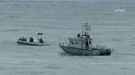 Plane crash off California coast kills 3