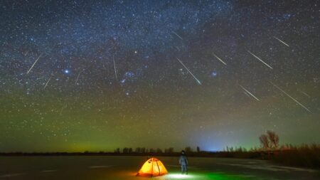 You Can See 2 Meteor Showers at Once This Week. How to Catch a Glimpse