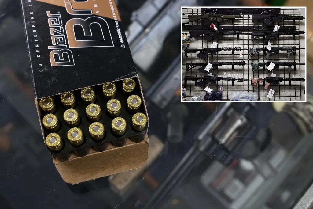 US appeals court makes decision on landmark California ammunition background checks case