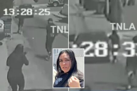 Brave mom chases down thieves, smashes window of getaway car with bare hand after catching them robbing her California home