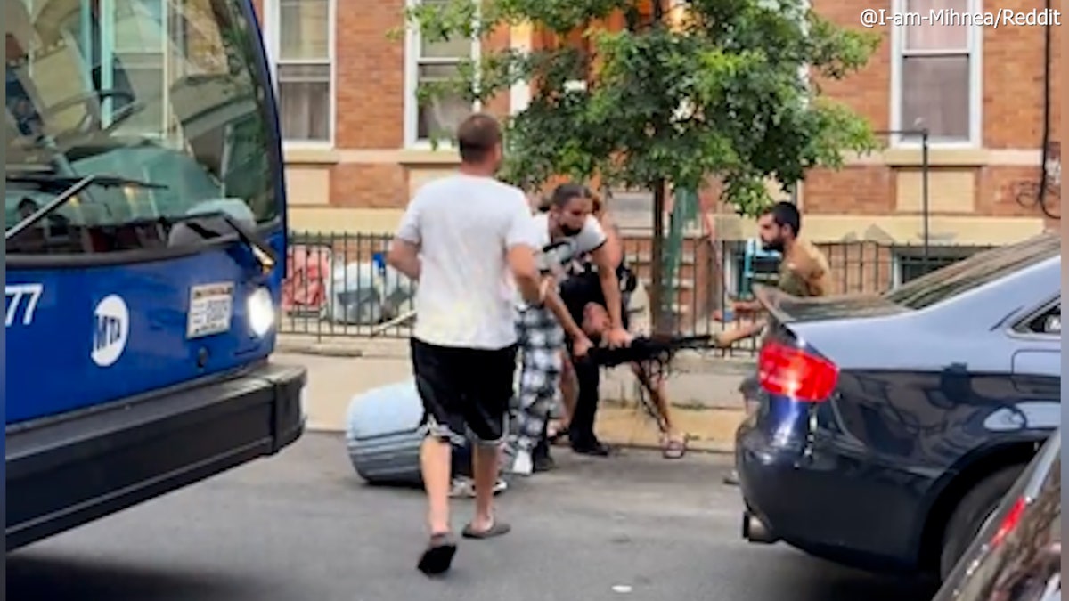 woman's hair being pulled during fight