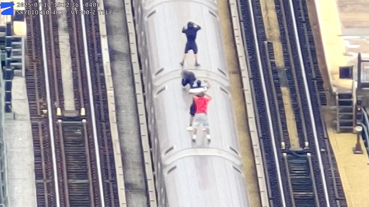 Four boys riding on top of a train in the Bronx