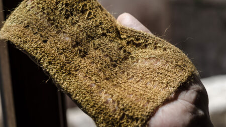 Scientists re-create a legendary golden fabric from clam waste