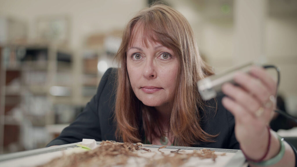 A 104-centimeter-long hair could rewrite recordkeeping in Inca society