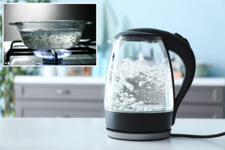 Pennsylvania boy, 12, charged for scalding 9-year-old sleeping brother with boiling water in disturbing social media prank