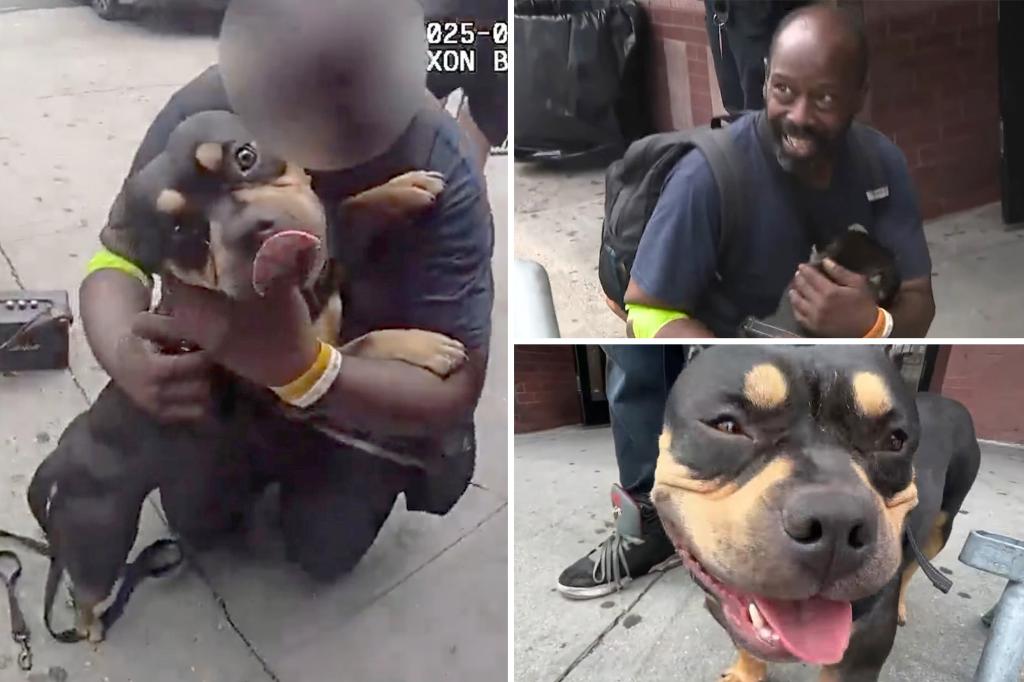 Newly homeless man reunited with dog snatched from him on NYC subway: ‘He’s all I have’