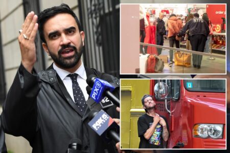 Exclusive | Zohran Mamdani wants to end all misdemeanor charges: ‘E-ZPass for criminals’