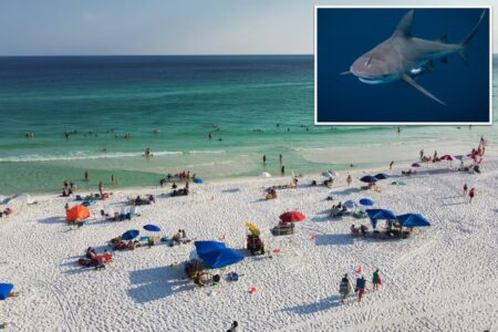 Florida takes 9 of top 10 spots for most shark attacks at American beaches