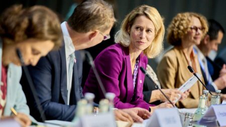 Kallas: EU can't give back frozen assets to Russia without reparations