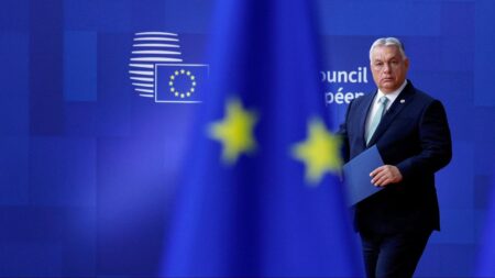 EU countries issued a statement in support of Ukraine without Hungary