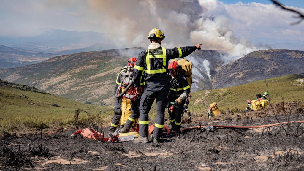 Spain’s wildfires were not deliberately set for building projects