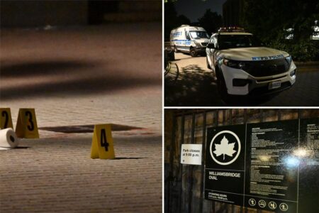 14-year-old stabbed to death in mass brawl at Bronx playground