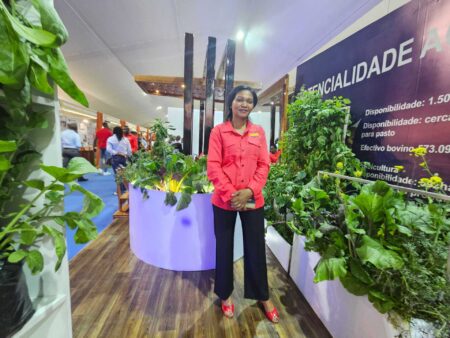 ‘Food, jobs, hope’: Mozambique seeks investment route to economic recovery