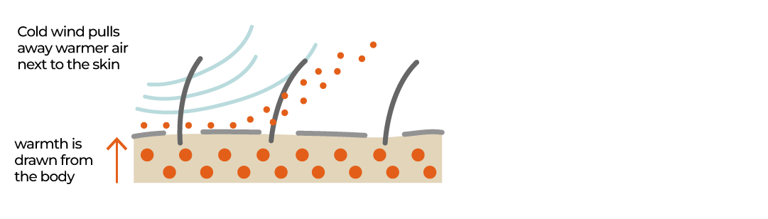 INTERACTIVE-air-heat stress - August 26, 2025-1756208110