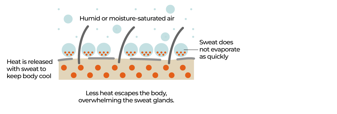 INTERACTIVE-humidity-heat stress - August 26, 2025-1756208136