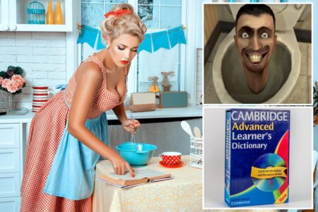 Cambridge Dictionary ripped for adding nonsense slang term ‘skibidi’ to its database: ‘English is no longer a language’