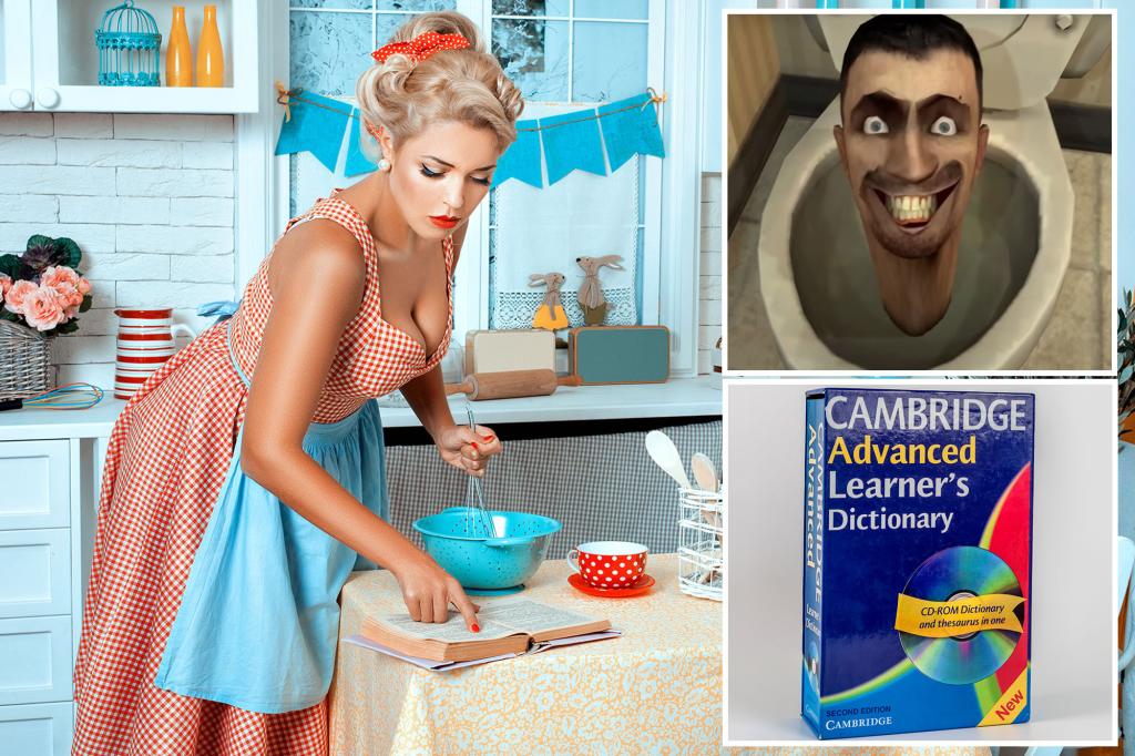 Cambridge Dictionary ripped for adding nonsense slang term ‘skibidi’ to its database: ‘English is no longer a language’