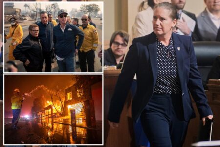 Fired LA fire chief, who was blasted for slow response to deadly wildfires, sues the city