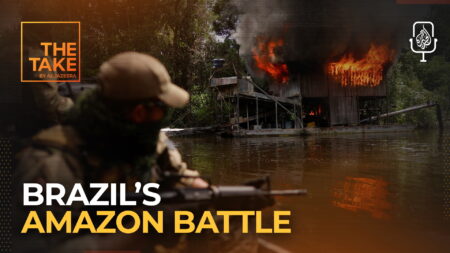 How did Lula da Silva cut Amazon deforestation in half?