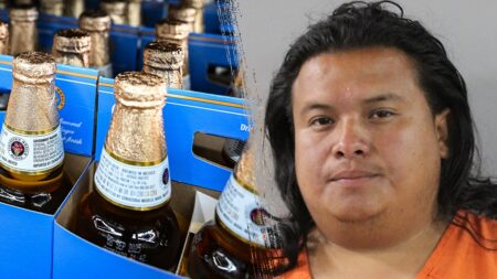 Nicaraguan man illegally in US facing 'enhanced' charges after drunken hit-and-run: sheriff