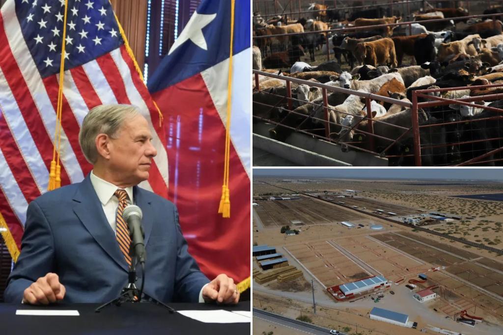 US confirms nation’s first travel-associated human screwworm case connected to Central American outbreak