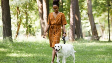 ‘Japanese Walking’ and Walking Pads Keep Trending, but Is That Actually Exercise? We Asked Fitness Experts