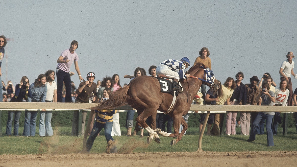 Secretariat running past crowd during race