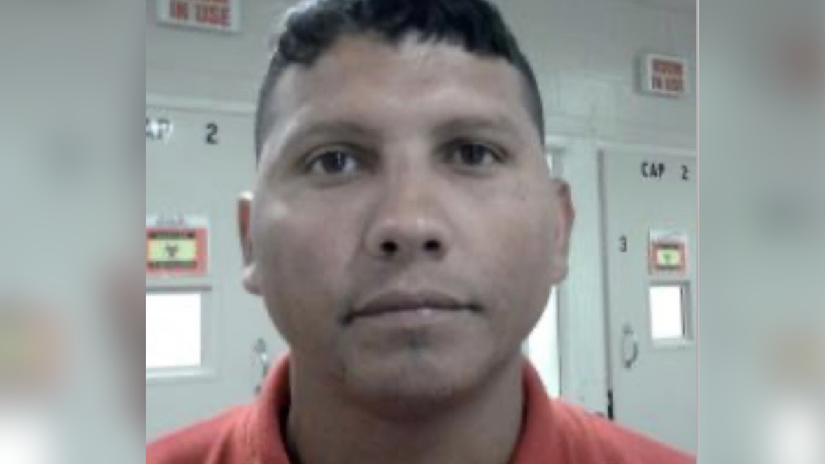 Mugshot of Michel Jordan Castellano-Fonseca