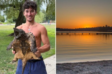 Valiant lifeguard captures massive ‘invasive’ reptile lurking in waters of Washington park
